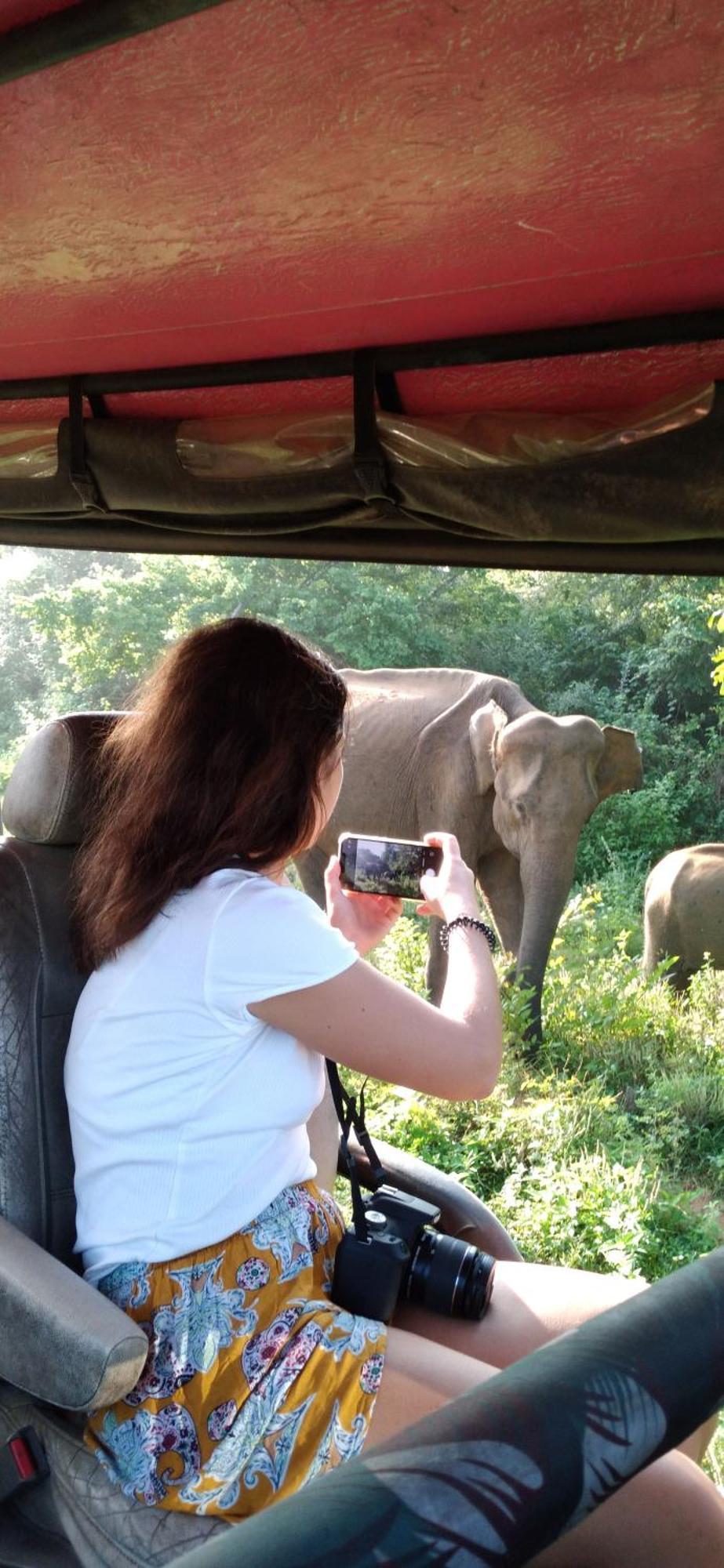 Safari Horizon Udawalawe B&B 외부 사진