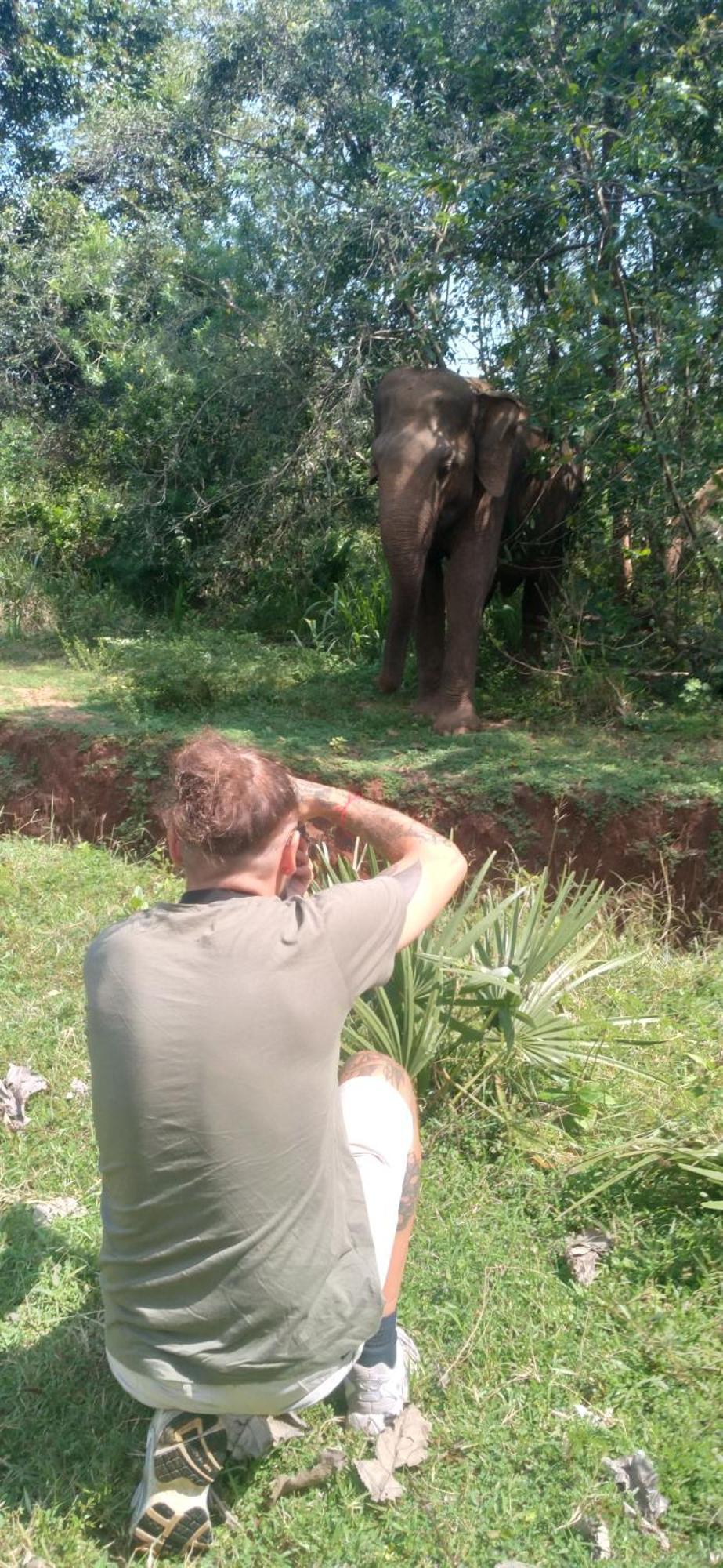 Safari Horizon Udawalawe B&B 외부 사진