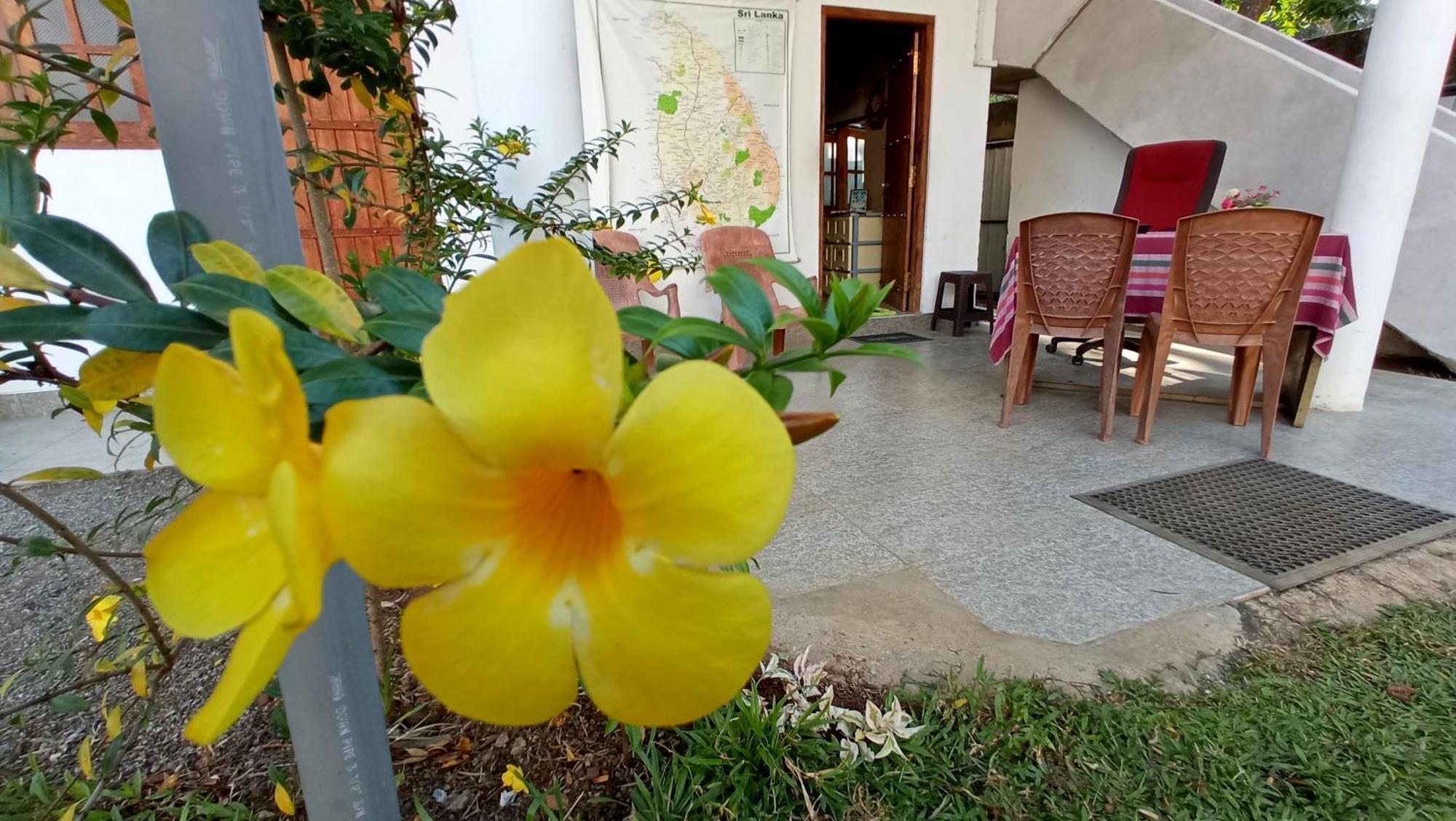 Safari Horizon Udawalawe B&B 외부 사진